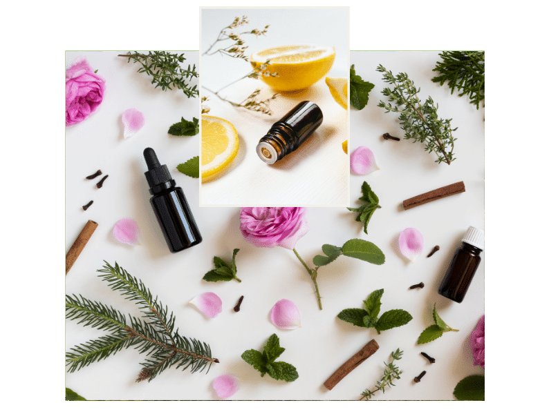 Pflanzenschutz ätherische Öle