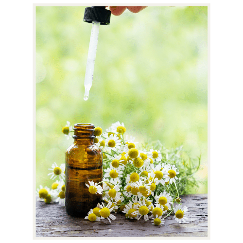 JOHO Garten AG | Pflanzenschutz mit ätherischen Ölen