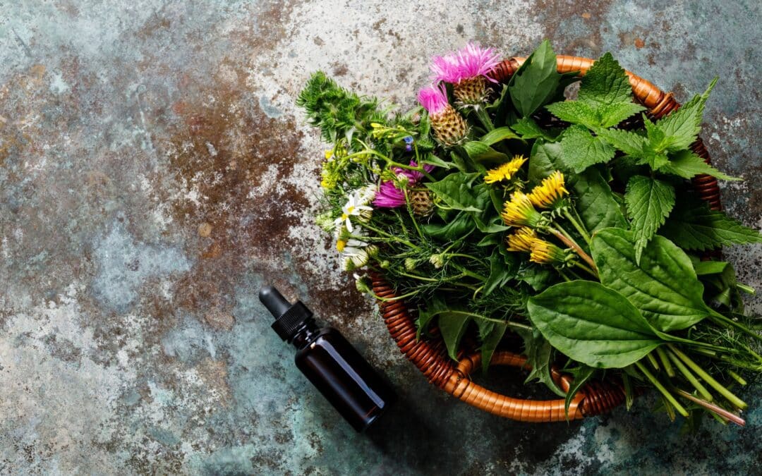 JOHO Garten AG | Pflanzenschutz mit ätherischen Ölen