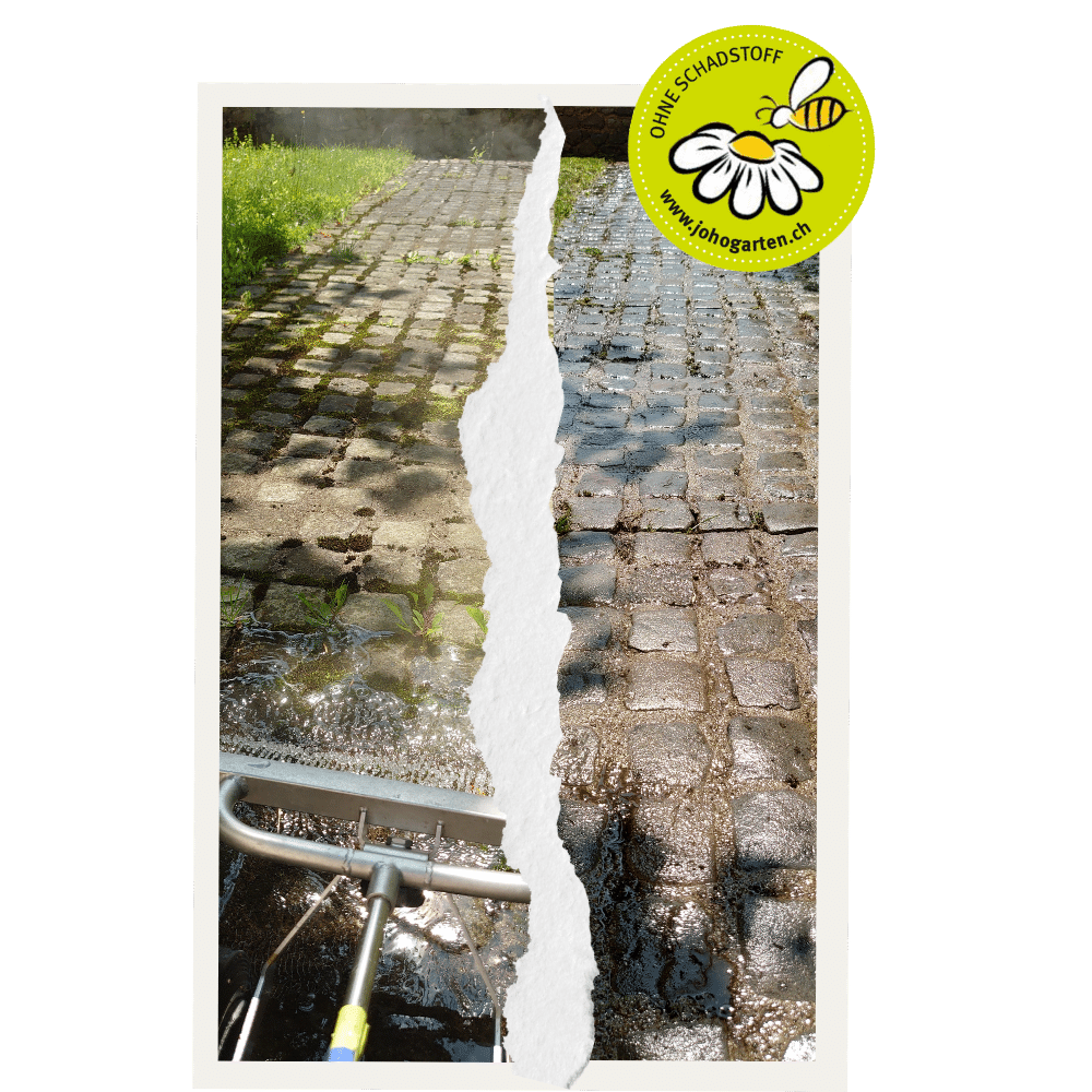 JOHO Garten AG | Unkrautvernichtung mit Heisswasser