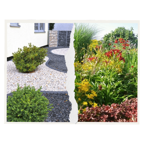 Blog - Schotterwüste vs. Ruderalflaechen