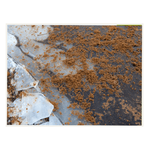 JOHO Garten AG | Salzen gegen Schnee, die umweltfreundliche Alternative