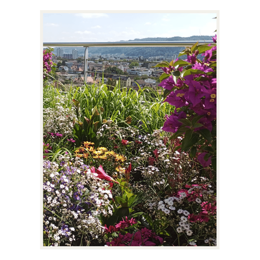 JOHO Garten AG | Farbenfrohe Gartengestaltung durch Mischpflanzungen