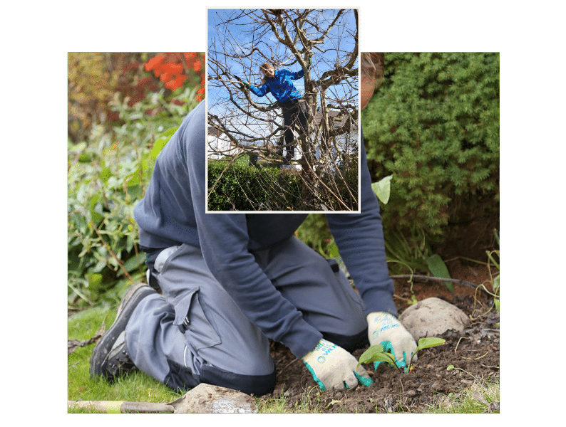 Auf in die neue Gartensaison