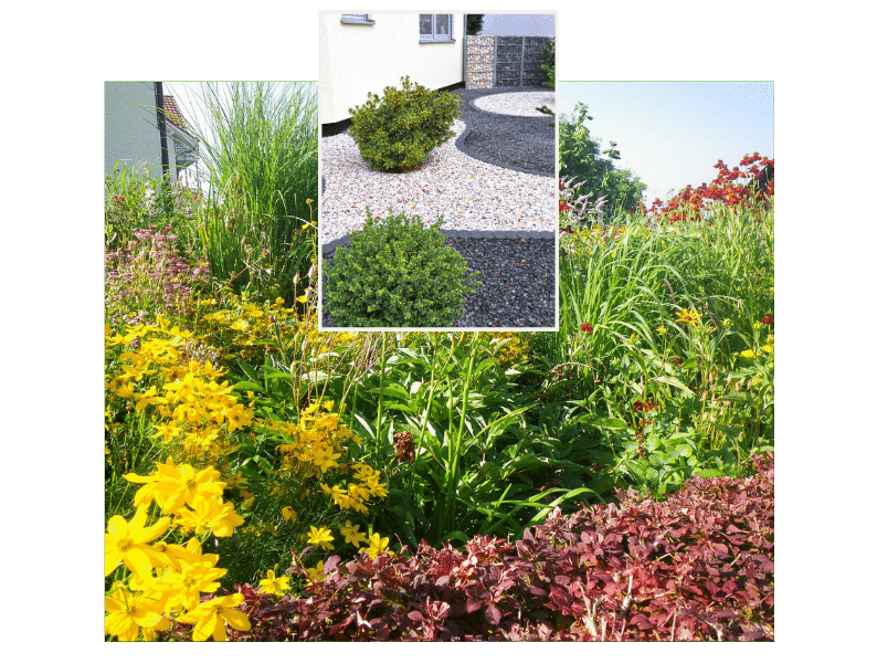 Schotterwüste vs. Ruderalfläche