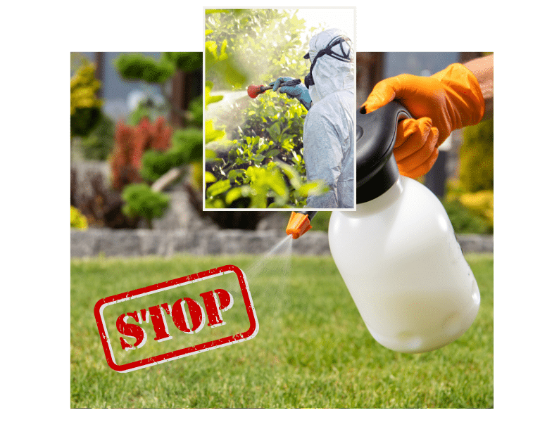 Ökologische Unkrautbekämpfung