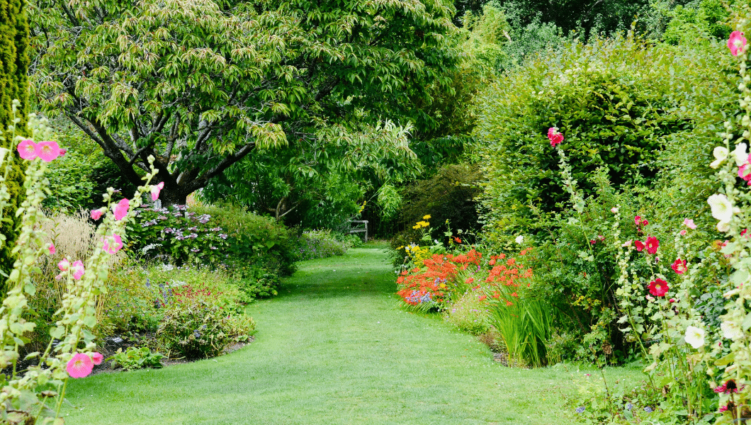 Gartenbepflanzung