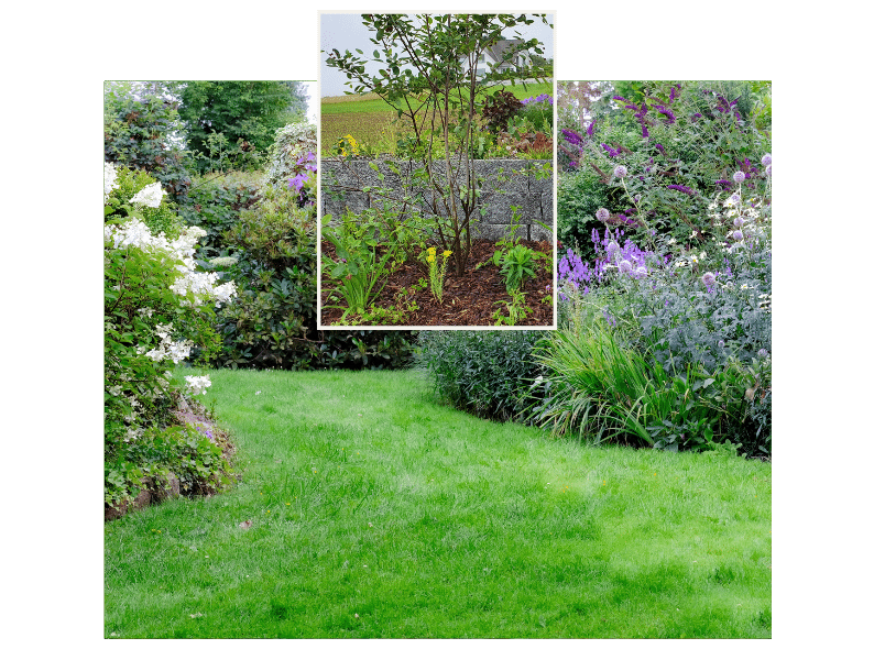 Der Zauber der Mischbepflanzung