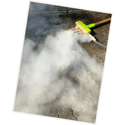 JOHO Garten AG | Eichenprozessionsspinner