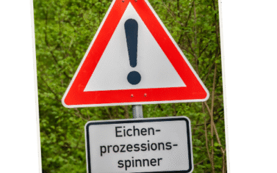 Eichenprozessionsspinner