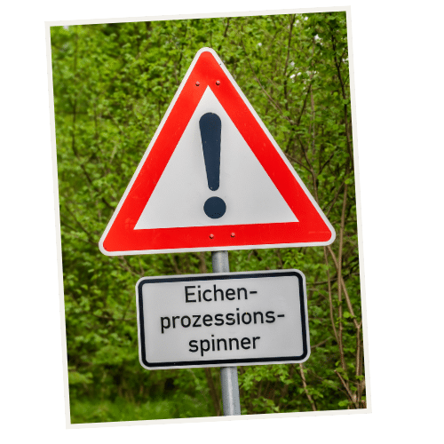 JOHO Garten AG | Eichenprozessionsspinner