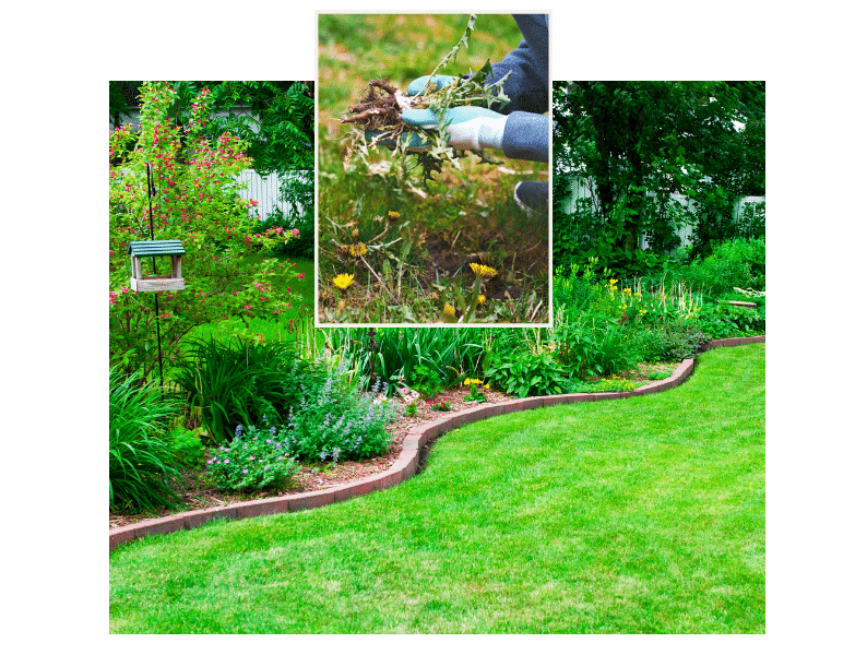 Gartenrenovation – aus alt wird wow!
