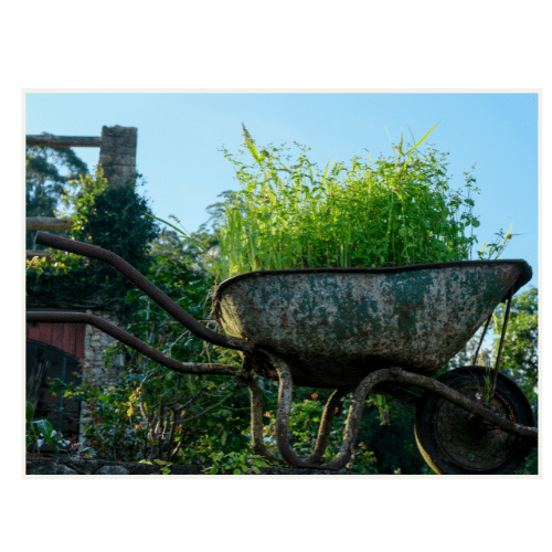 JOHO Garten AG | Gartenrenovation