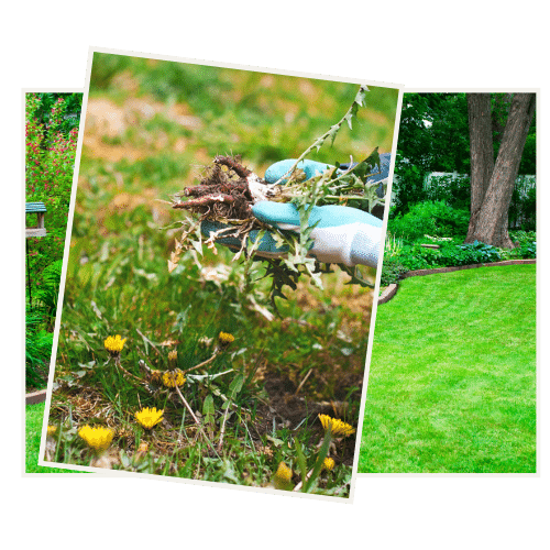 JOHO Garten AG | Gartenrenovation