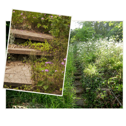 JOHO Garten AG | Gartenrenovation