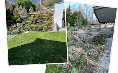 Gartenrenovation – aus alt wird wow!