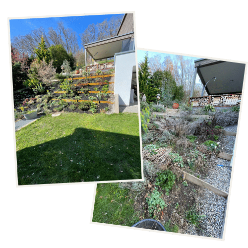 Blog - Gartenrenovation