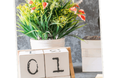 Gartenpflege mit Plan