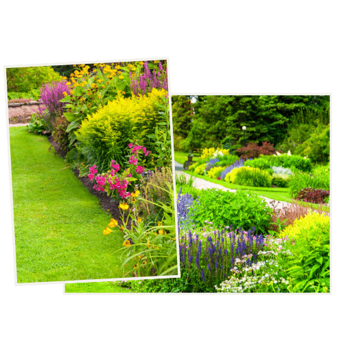 JOHO Garten AG | Gartenpflege