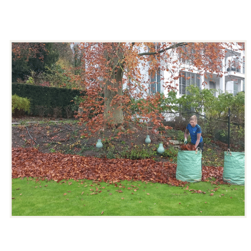 JOHO Garten AG | Gartenpflege