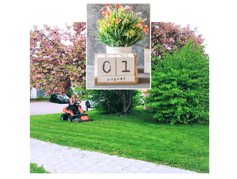 Gartenpflege mit Plan