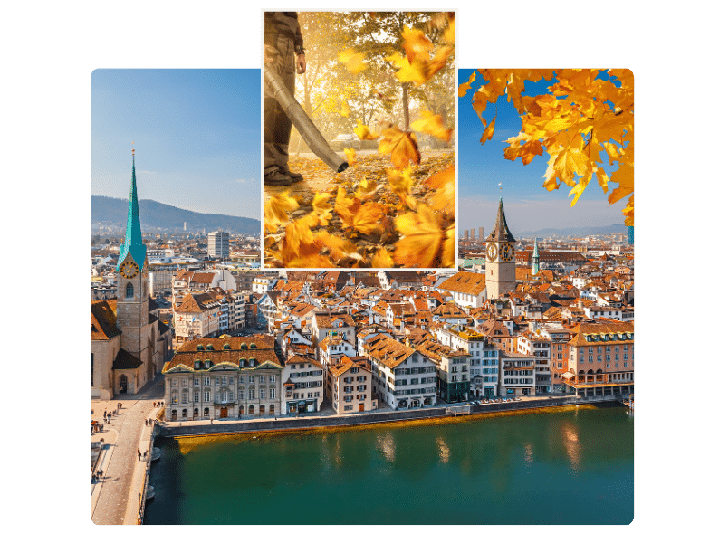 Blog - Laubbläser Verbot Zürich