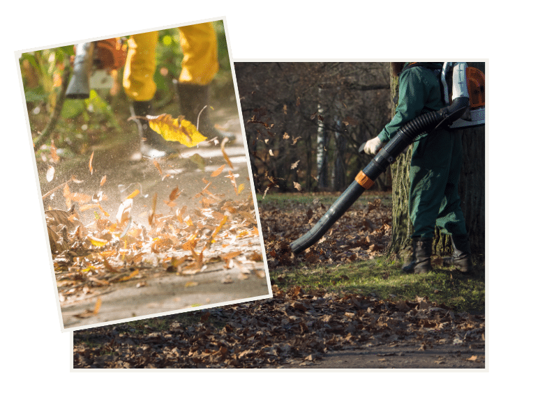 Blog - Laubbläser Verbot Zürich