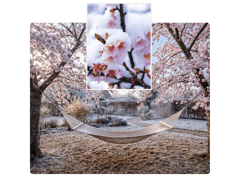 Eisheilige im Garten