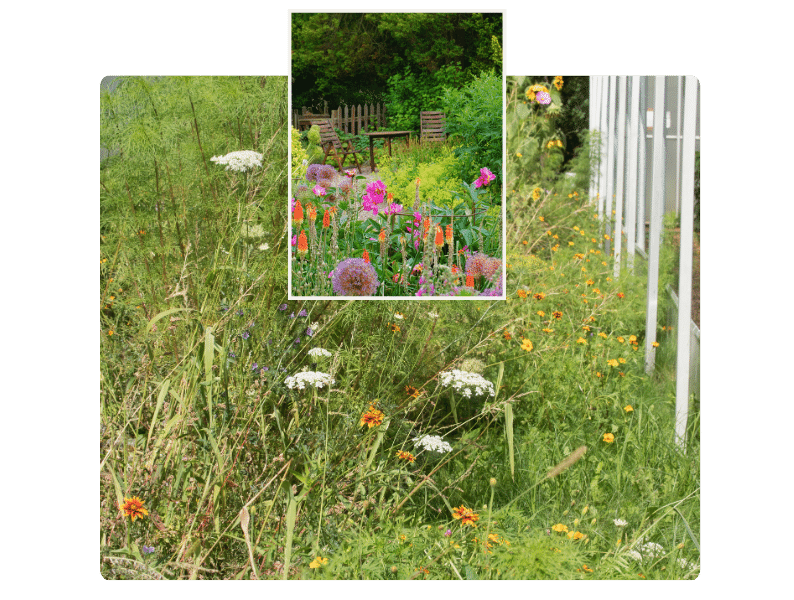 Biodiversität im Garten