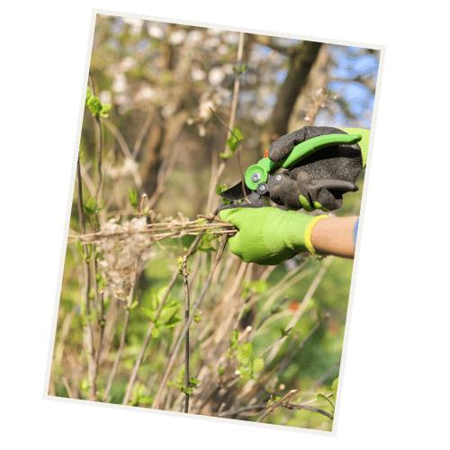JOHO Garten | Garten nach Hitzesommer